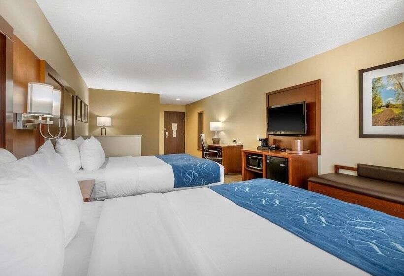 Люкс, Comfort Suites