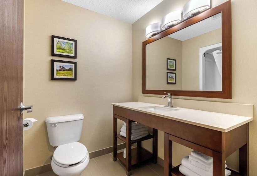 Люкс, Comfort Suites