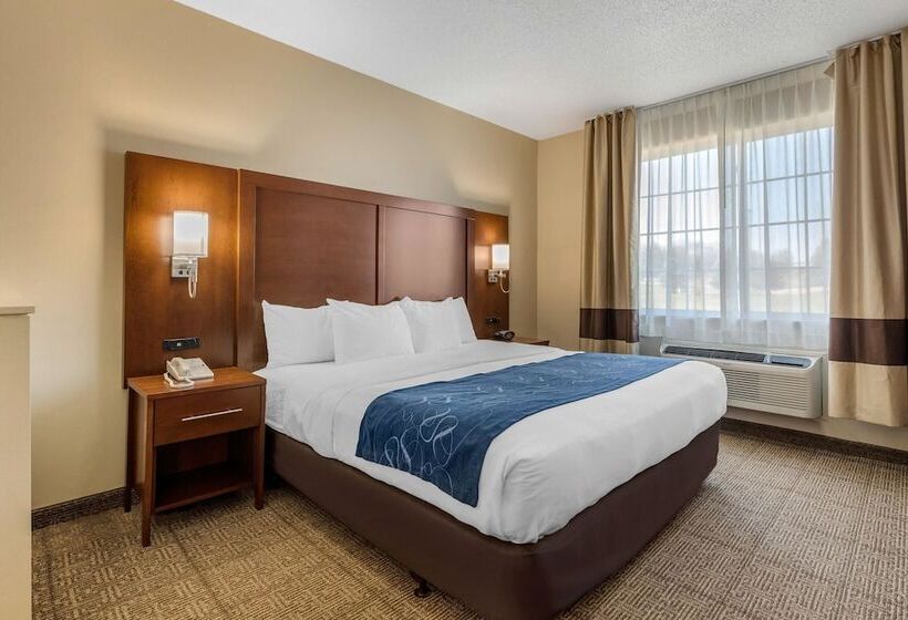Люкс, Comfort Suites