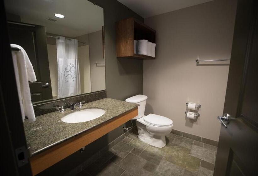 Люкс, Great Wolf Lodge  Bloomington