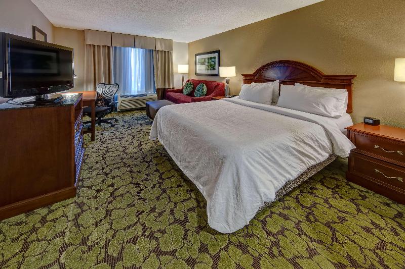 带大床的标准间, Hilton Garden Inn Indianapolis Northeast/fishers