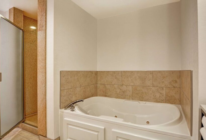 Люкс, Hilton Garden Inn Mobile East Bay / Daphne