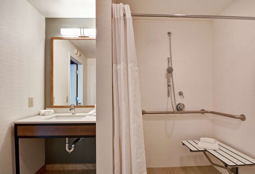 Номер Стандарт Адаптированный для Инвалидов, Hilton Garden Inn Mobile East Bay / Daphne