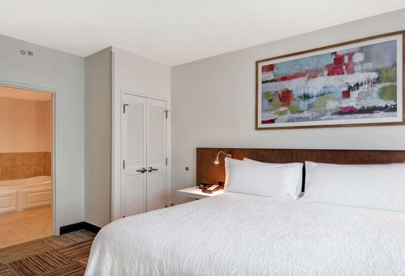 Номер Стандарт Адаптированный для Инвалидов, Hilton Garden Inn Mobile East Bay / Daphne
