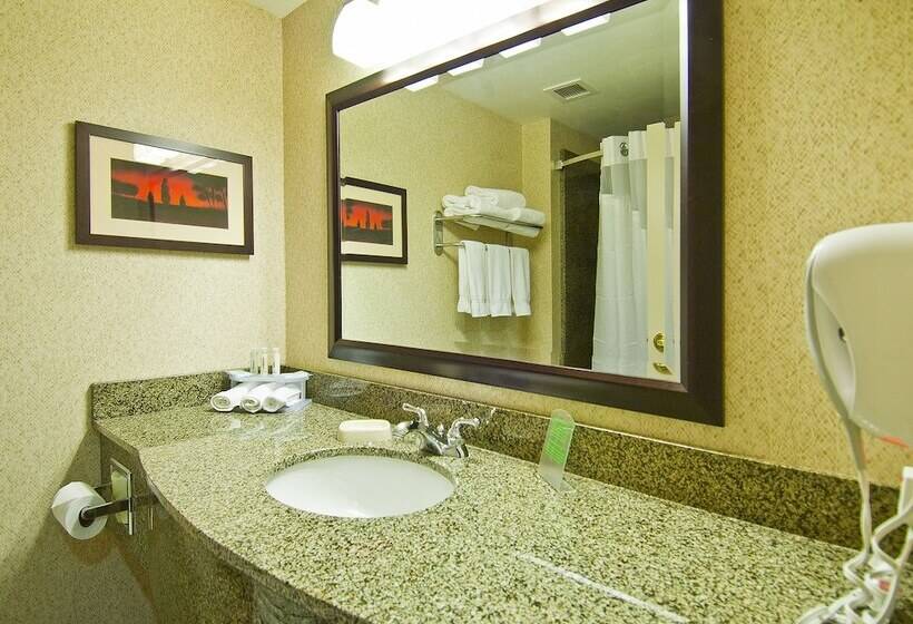스위트, Holiday Inn Express & Suites Oro Valley Tucson North, An Ihg