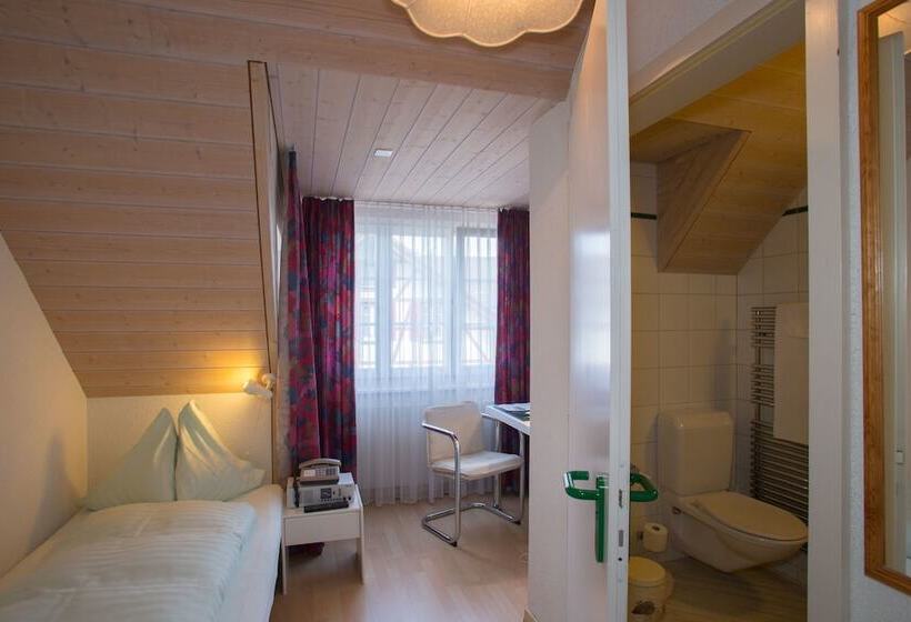 Номер Стандарт Индивидуальный, Seminarhotel Linde Stettlen