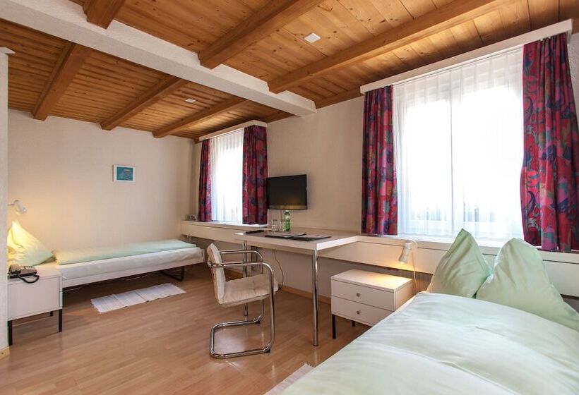 اتاق استاندارد, Seminarhotel Linde Stettlen