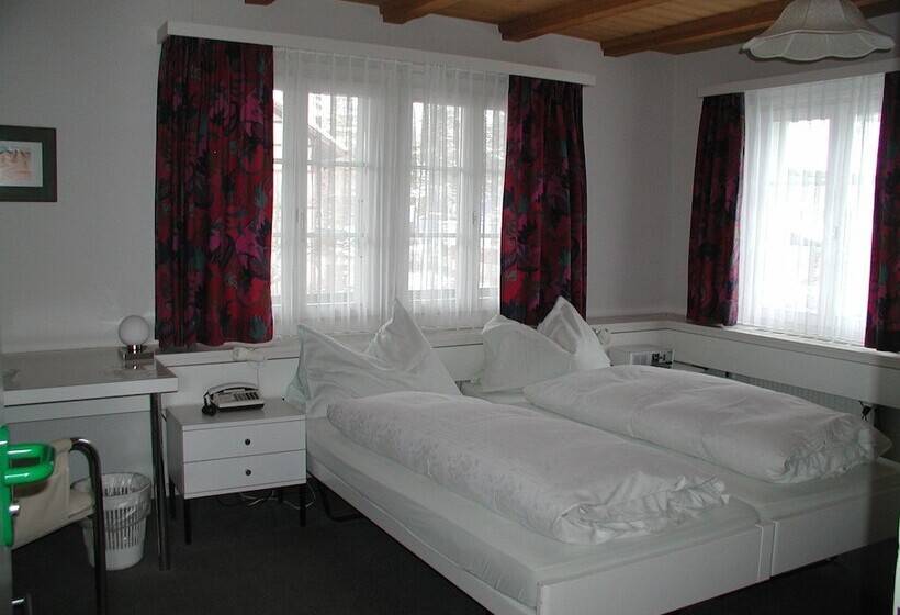 Номер Комфорт, Seminarhotel Linde Stettlen