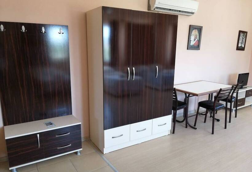 آپارتمان 1 خوابه, Mina Apart Otel