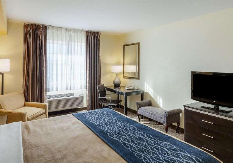 Стандартный Номер Кровать Кинг, Comfort Inn & Suites Texas Hill Country