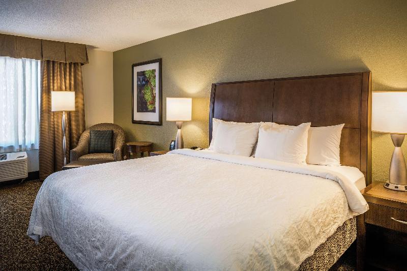 Стандартный Номер Кровать Кинг, Hilton Garden Inn Richmond Innsbrook