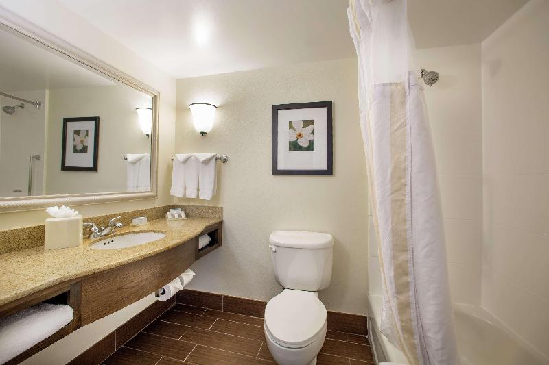 带大床的小型套房, Hilton Garden Inn Richmond Innsbrook