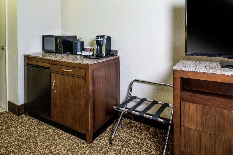 带大床的小型套房, Hilton Garden Inn Richmond Innsbrook