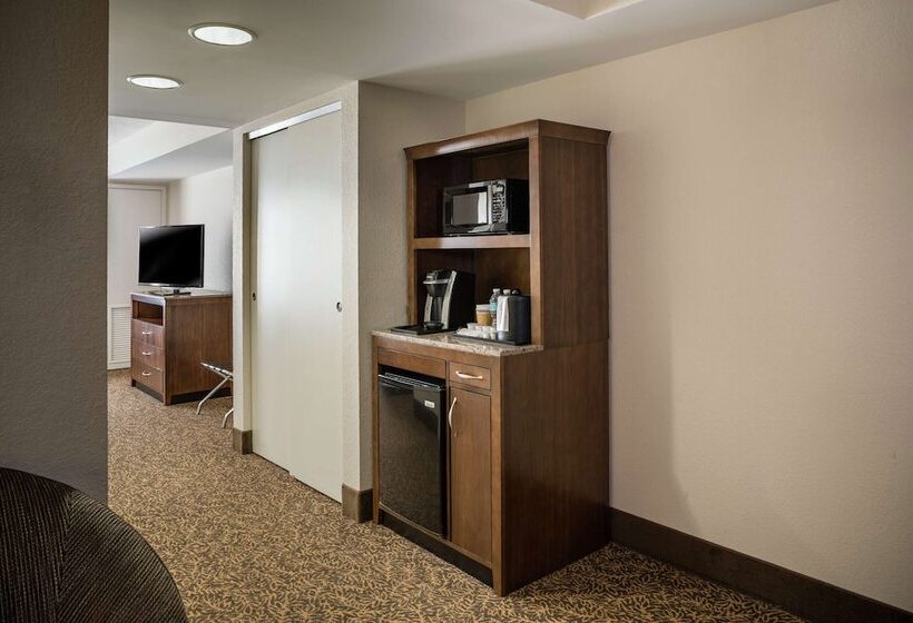 Номер Стандарт, Hilton Garden Inn Richmond Innsbrook