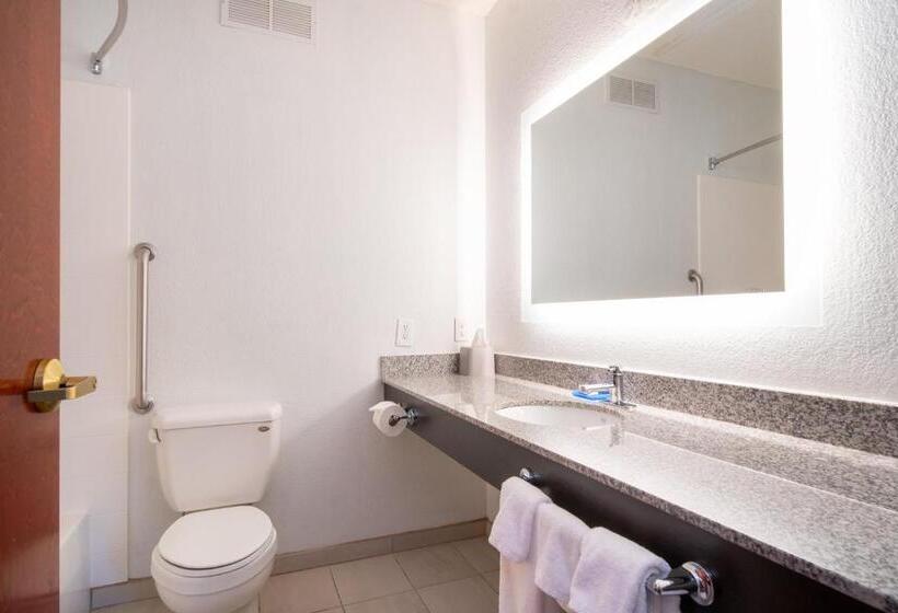 חדר סטנדרט, Holiday Inn Express Hotel & Suites Bedford, An Ihg