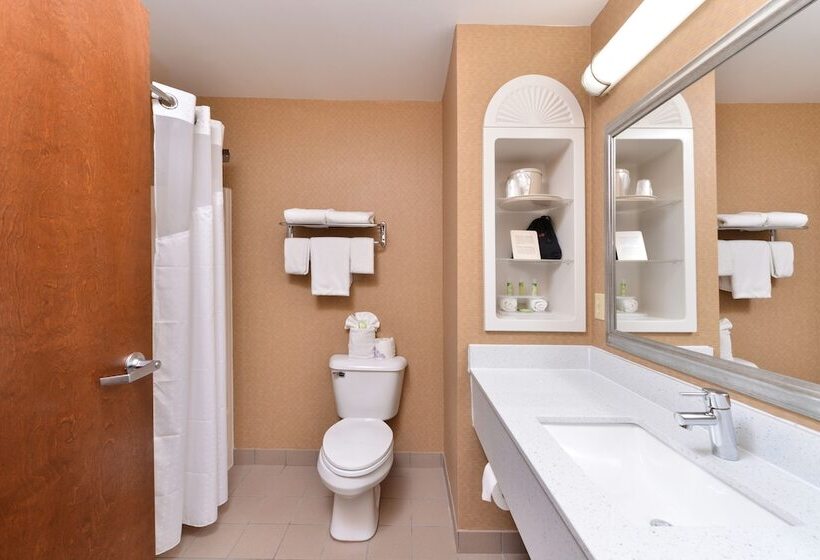 Номер Стандарт, Holiday Inn Express Hotel & Suites Cincinnati Blue Ash, An Ihg