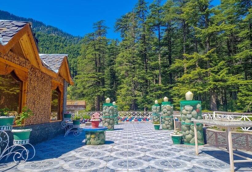 ファミリールーム, Mountain Top