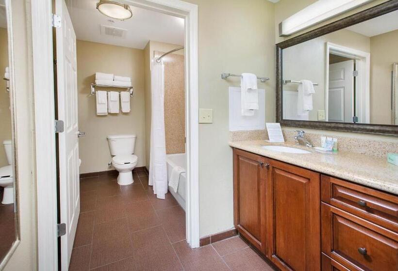 סטודיו סטנדרט, מיטה זוגית, Staybridge Suites Augusta, An Ihg