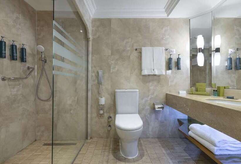 سوئیت اجرایی با تخت کینگ, Hilton Frankfurt Airport