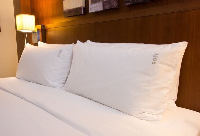 Номер Стандарт Вид на Город, Holiday Inn Abu Dhabi, An Ihg