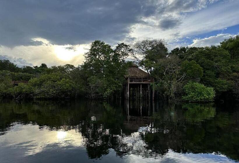 Бунгало Deluxe, Juma Amazon Lodge