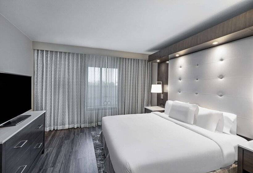 Люкс, Embassy Suites By Hilton Houston Energy Corridor