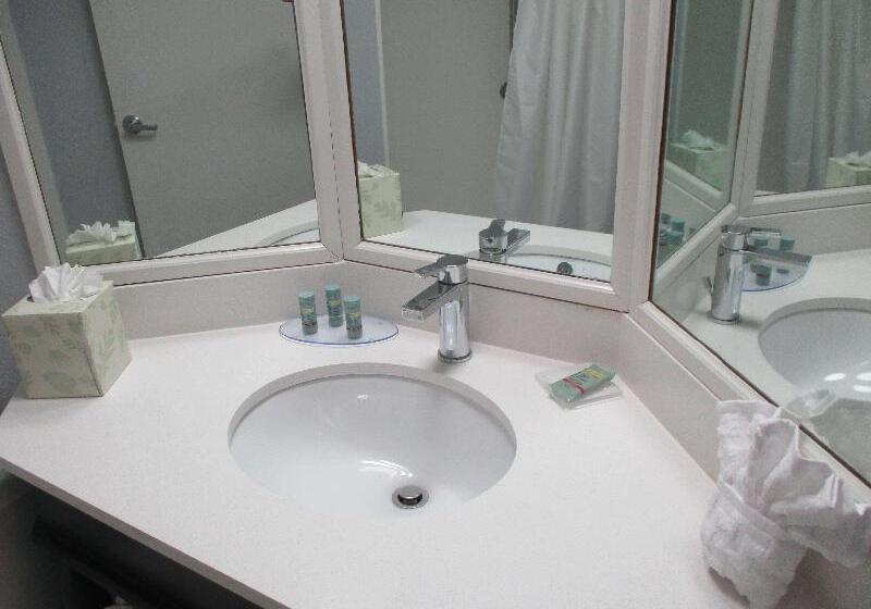 Номер Superior, NH Queretaro