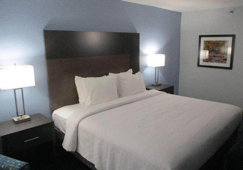 Номер Superior, NH Queretaro