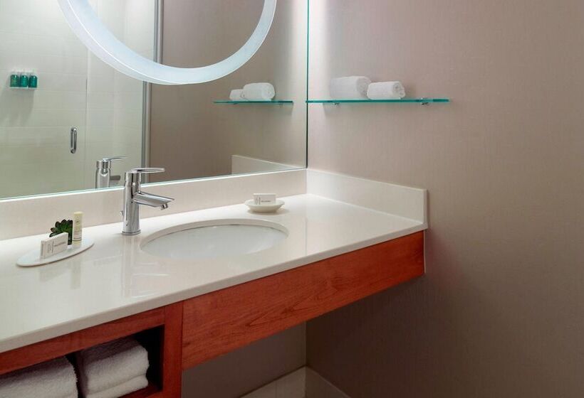 スイート, Springhill Suites By Marriott Atlanta Airport Gateway
