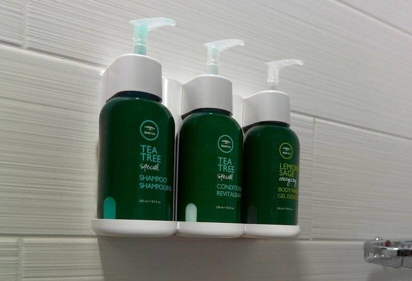 スイート, Springhill Suites By Marriott Atlanta Airport Gateway