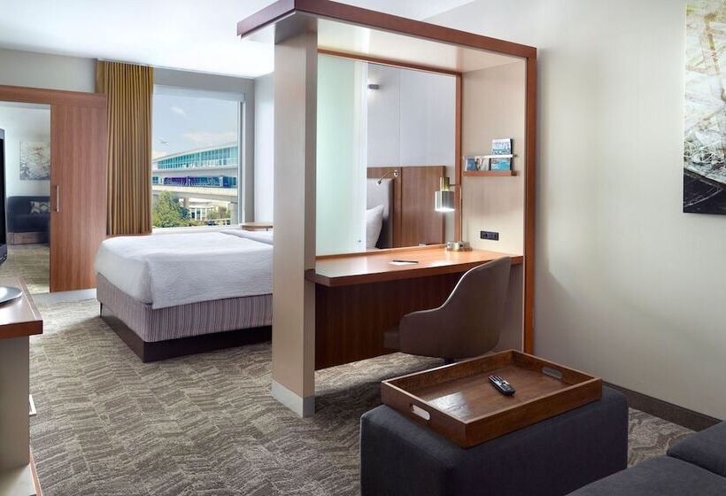 スイート, Springhill Suites By Marriott Atlanta Airport Gateway