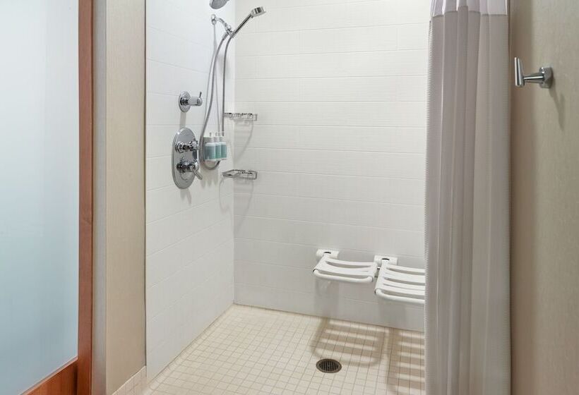 身障者適用スイートルーム, Springhill Suites By Marriott Atlanta Airport Gateway