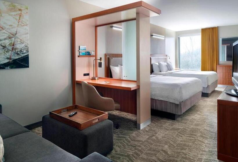 スイート, Springhill Suites By Marriott Atlanta Airport Gateway