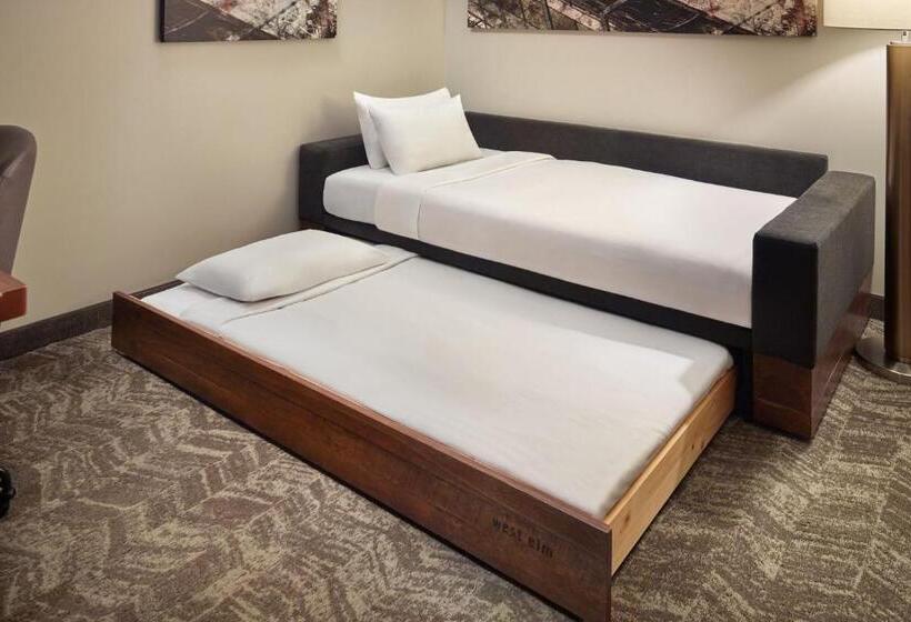 身障者適用スイートルーム, Springhill Suites By Marriott Atlanta Airport Gateway