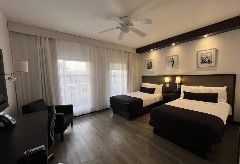 Номер Стандарт, S Hotel Kingston