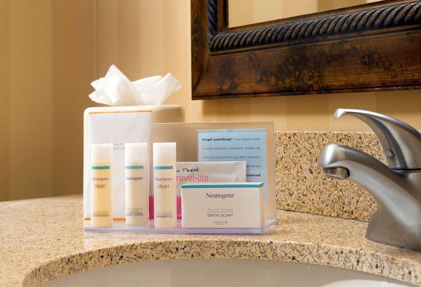 Studio Standard, Hampton Inn & Suites San Antonioairport