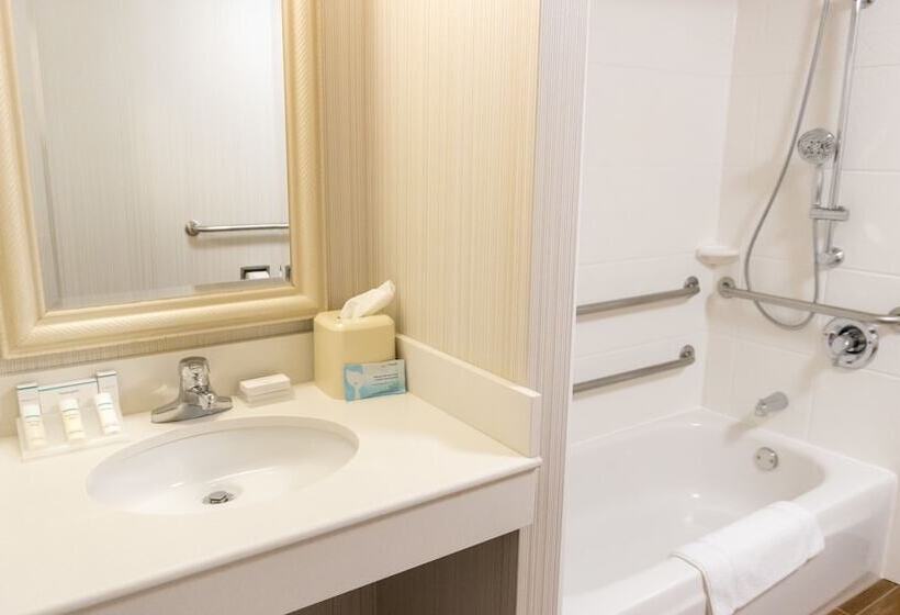 Номер Стандарт 2 Двуспальные Кровати, Hilton Garden Inn Plymouth