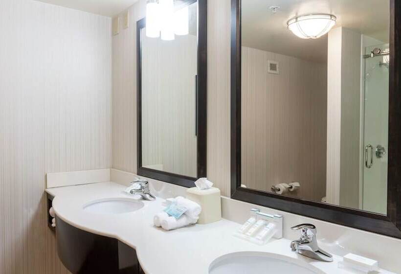 Полулюкс, Hilton Garden Inn Plymouth