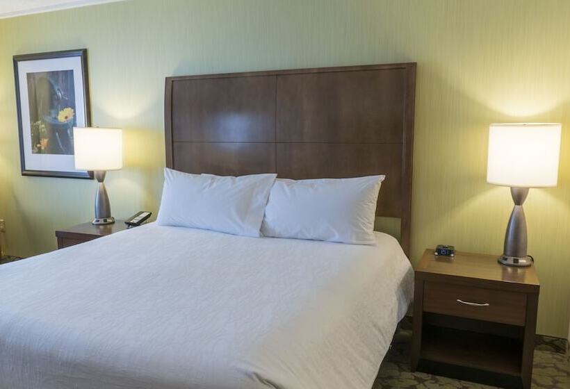 Полулюкс, Hilton Garden Inn Plymouth