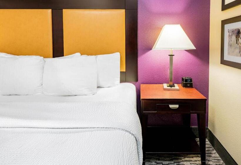 Люкс Адаптированный для Инвалидов, La Quinta By Wyndham Dfw Airport West   Bedford