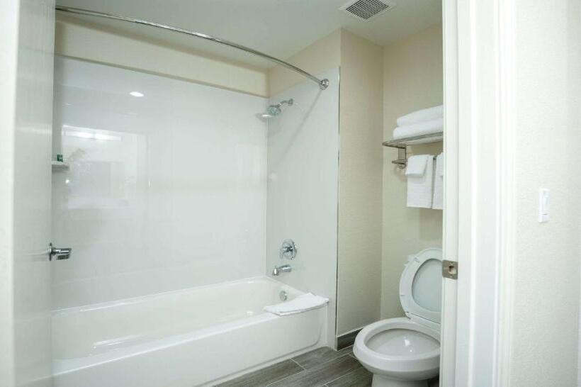 Suite King Size Bed, Best Western Houston Bush Iah Intercontinental Airport Inn