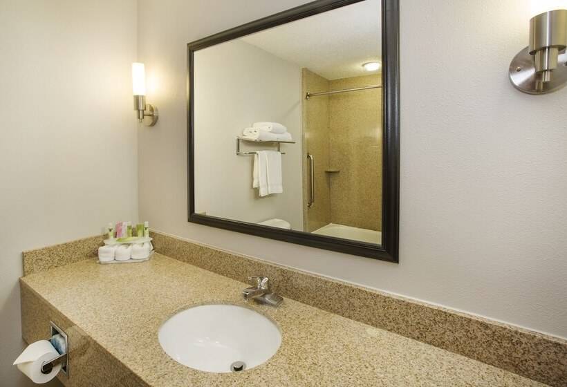 Номер Стандарт, Holiday Inn Express Hotel & Suites Kalamazoo By Ihg
