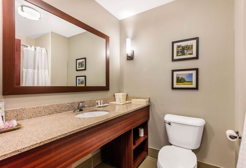 Люкс, Comfort Suites Tuscaloosa Near University