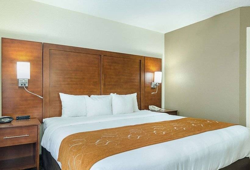 适合残疾人士使用的套间, Quality Suites Springdale West I 49