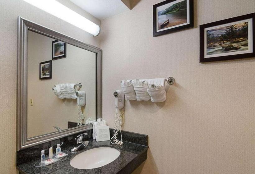 带大床的套房, Quality Suites Springdale West I 49