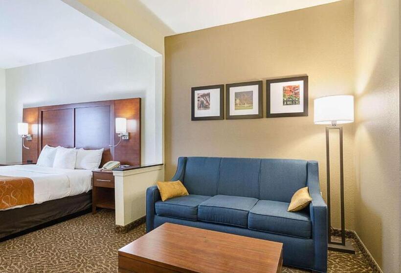 Люкс Кровать Кинг, Quality Suites Springdale West I 49