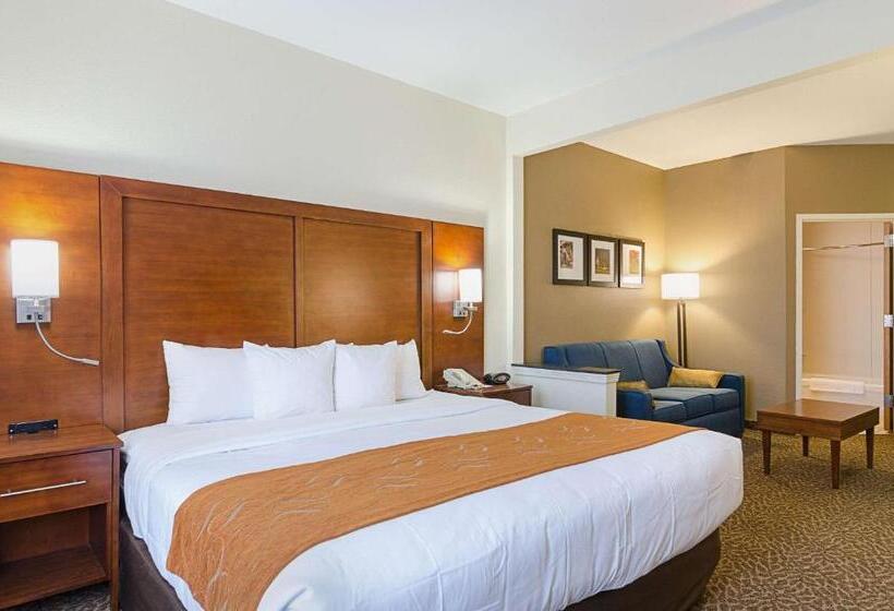 带大床的套房, Quality Suites Springdale West I 49