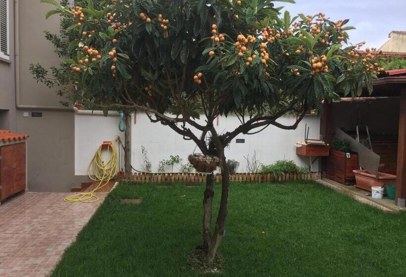 带花园景观的标准三人间, B&b Filomena