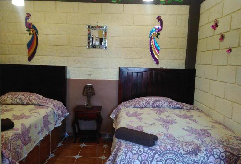 Quarto Estandar, El Sueño De Quetzalcoatl