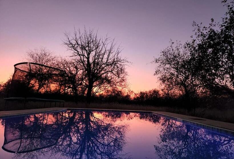 اتاق کلاس بیزنس, Simba Safaris African Pride Exotic Lodge